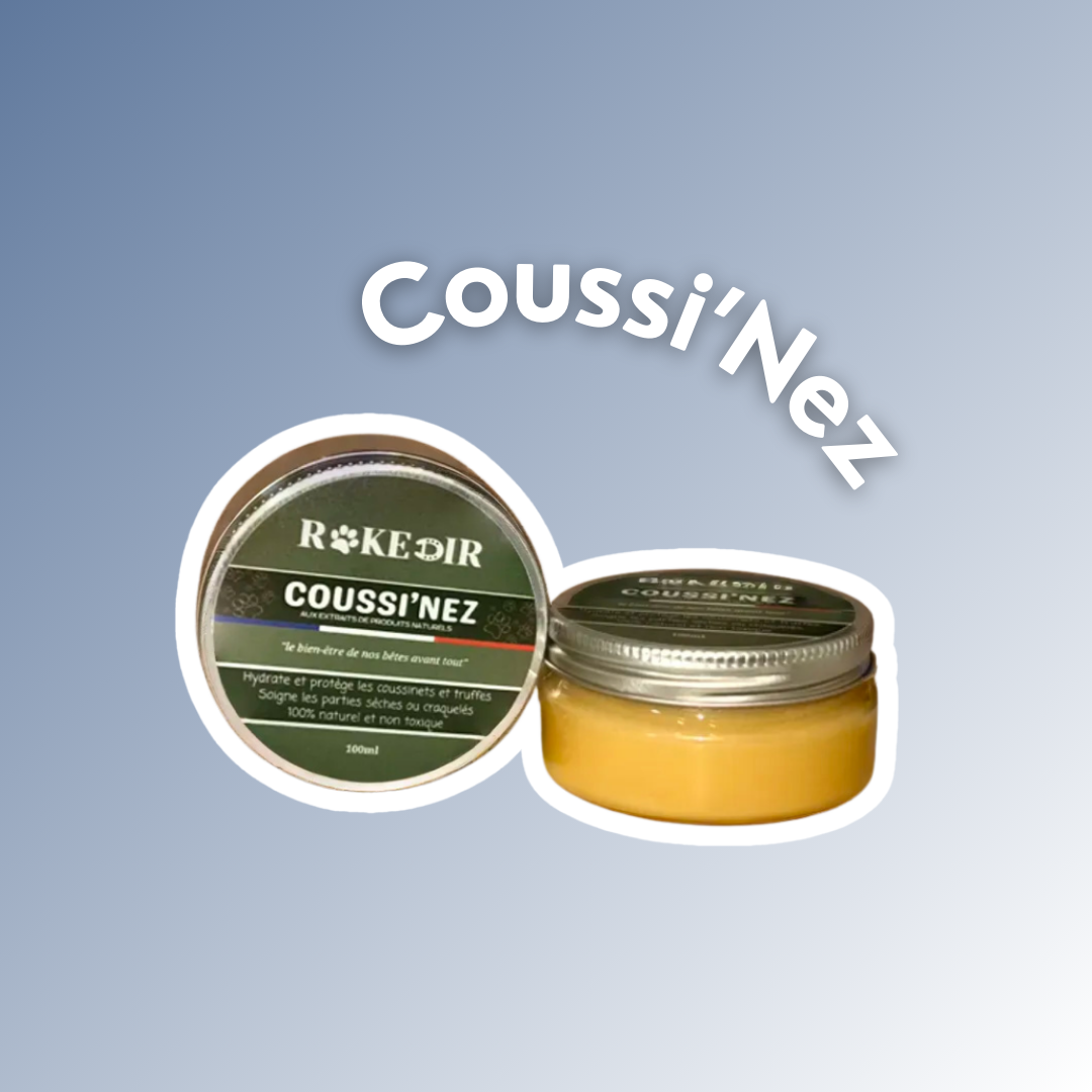 COUSSI'NEZ